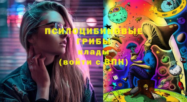 эйфоретик Алексин