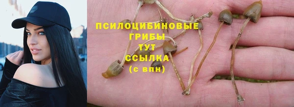 эйфоретик Алексин