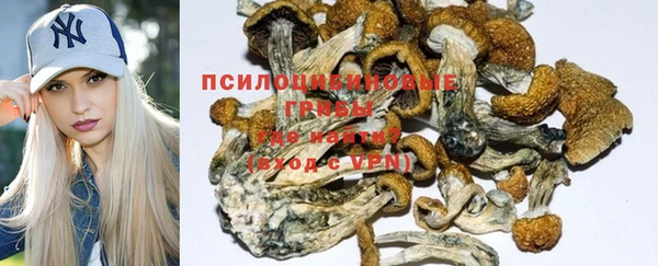 эйфоретик Алексин