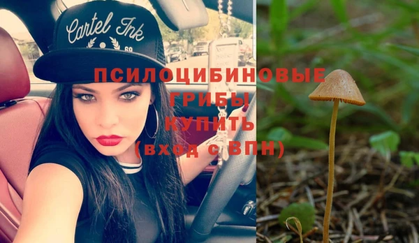 индика Алзамай