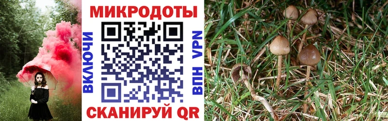 Галлюциногенные грибы Magic Shrooms  Анадырь 